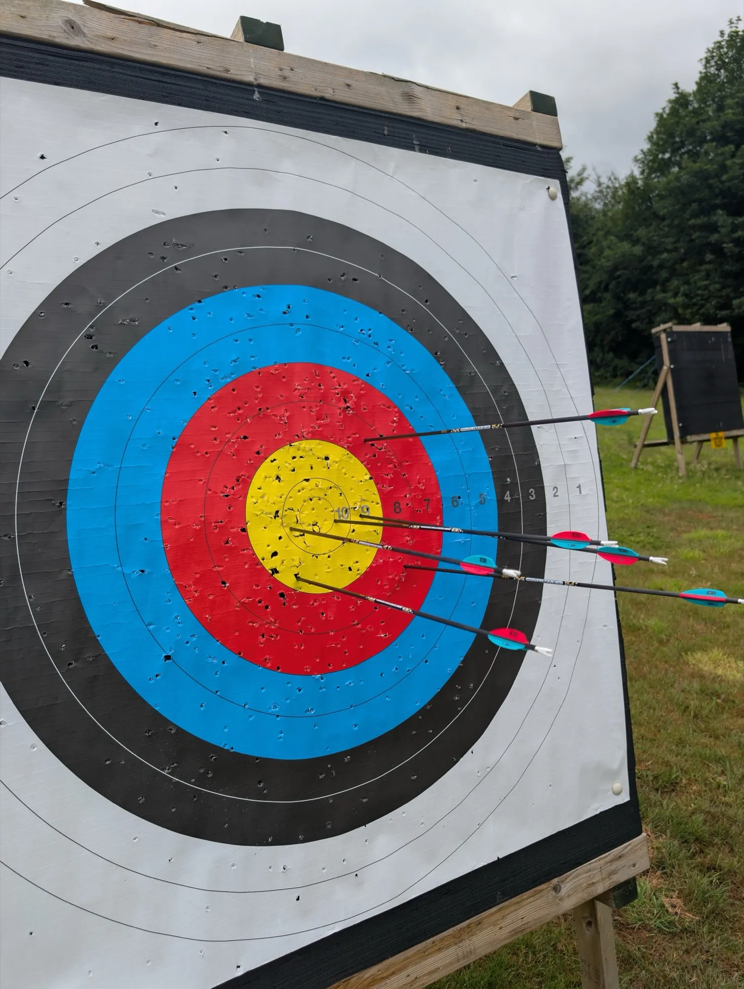 A close-up of arrows grouped in the gold of a target face